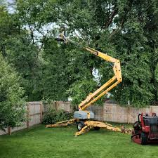 Best Tree Maintenance Programs  in Quartzsite, AZ